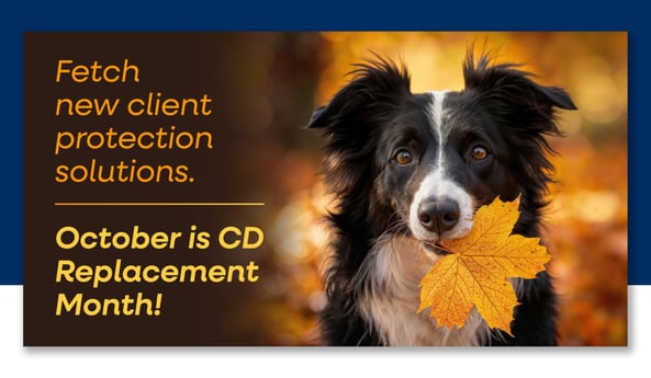 CDReplacementKit_2025Oct-Shadow